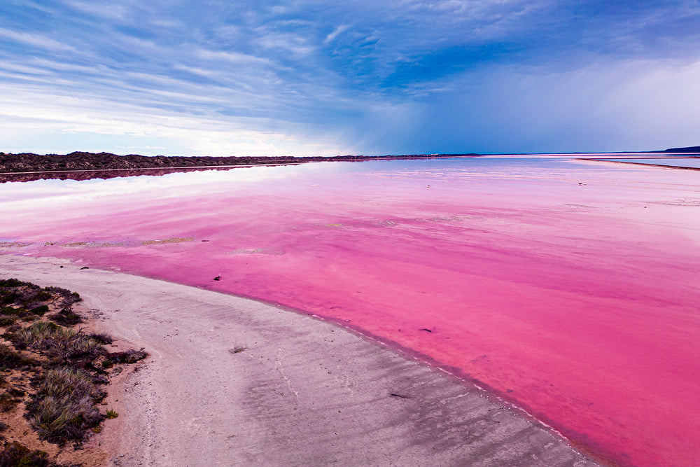 Pink lake WA Australia