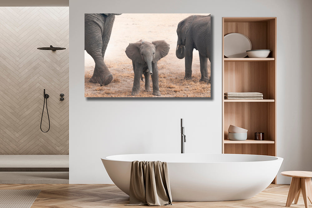 
                  
                    Baby elephant photography bathroom
                  
                