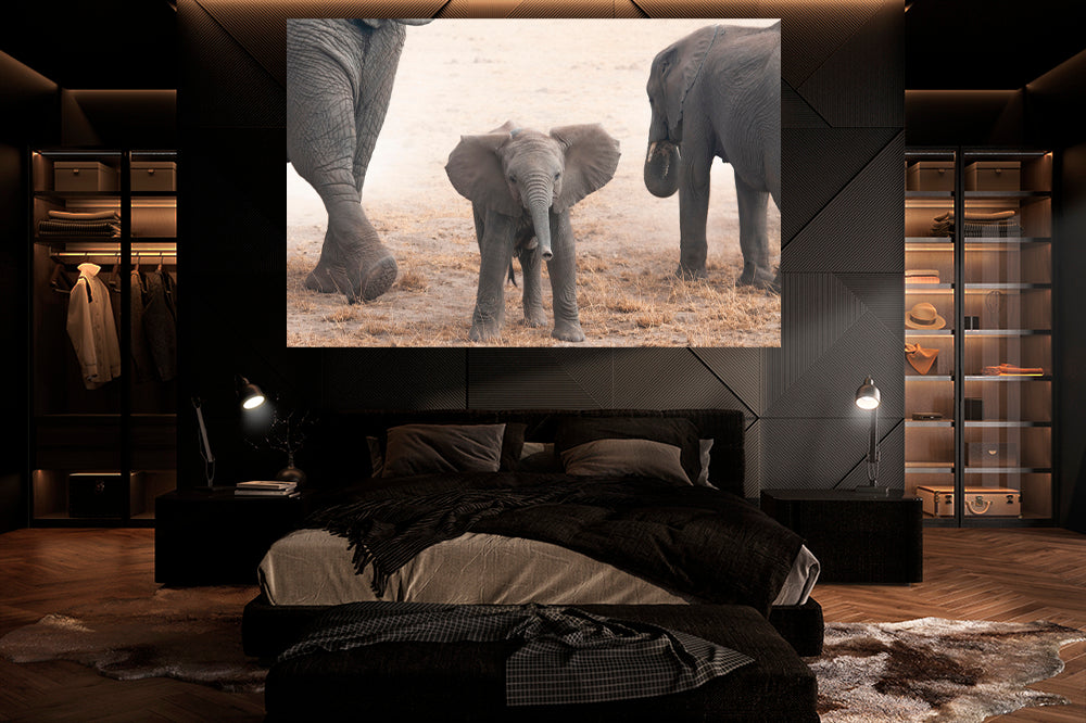 
                  
                    Baby elephant photography bedroom
                  
                