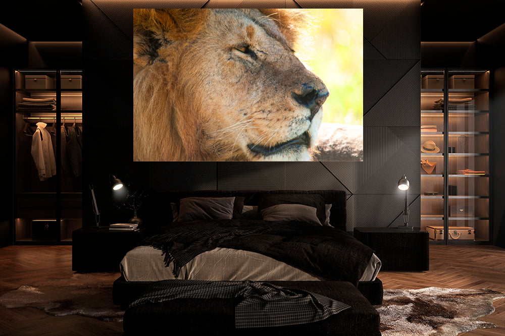 
                  
                    Wildlife Lion Africa photography bedroom
                  
                