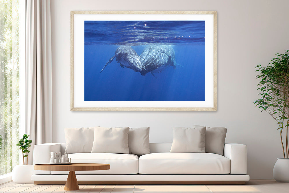 whale family love photography living room
