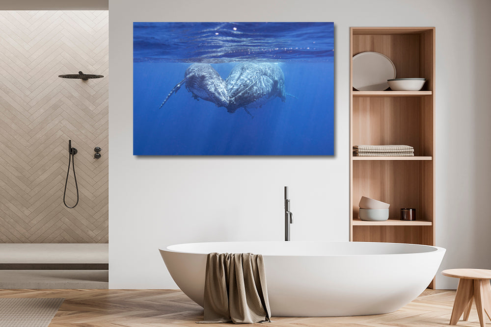 
                  
                    whale family love photography bathroom
                  
                