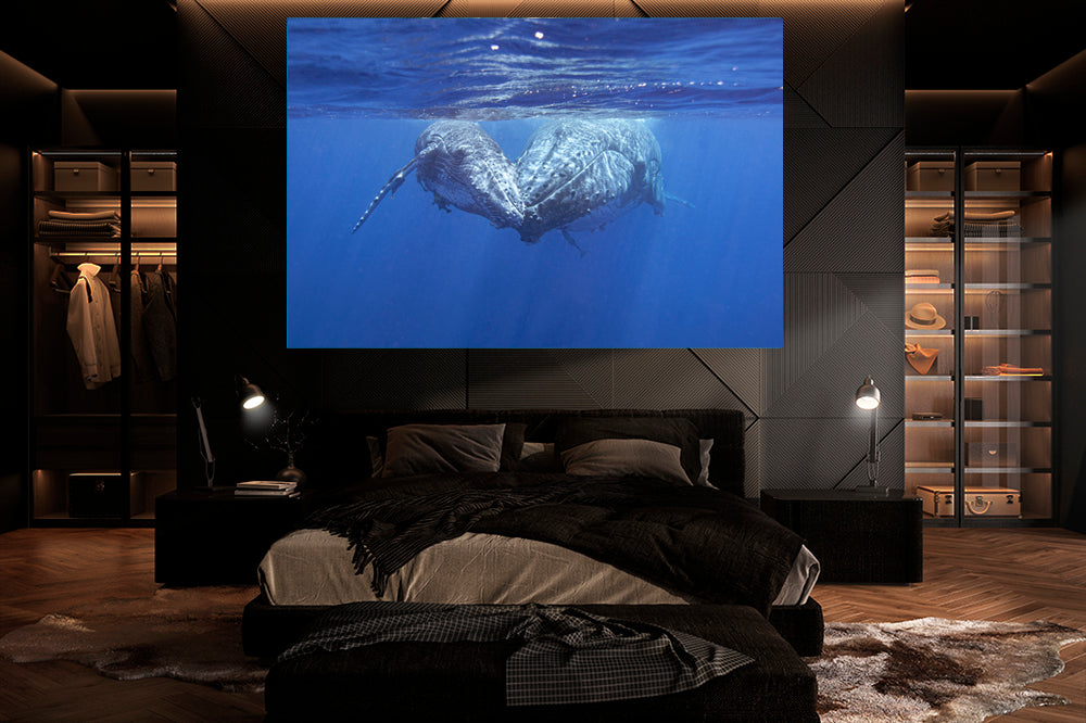 
                  
                    whale family love photography bedroom
                  
                