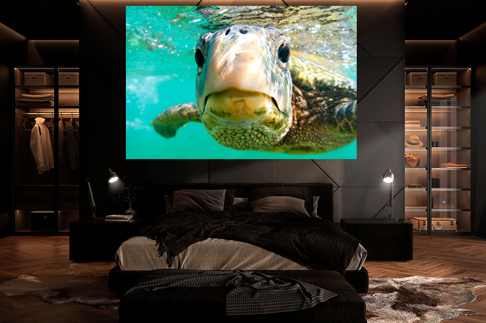 
                  
                    Hollywood honu photography bed room
                  
                