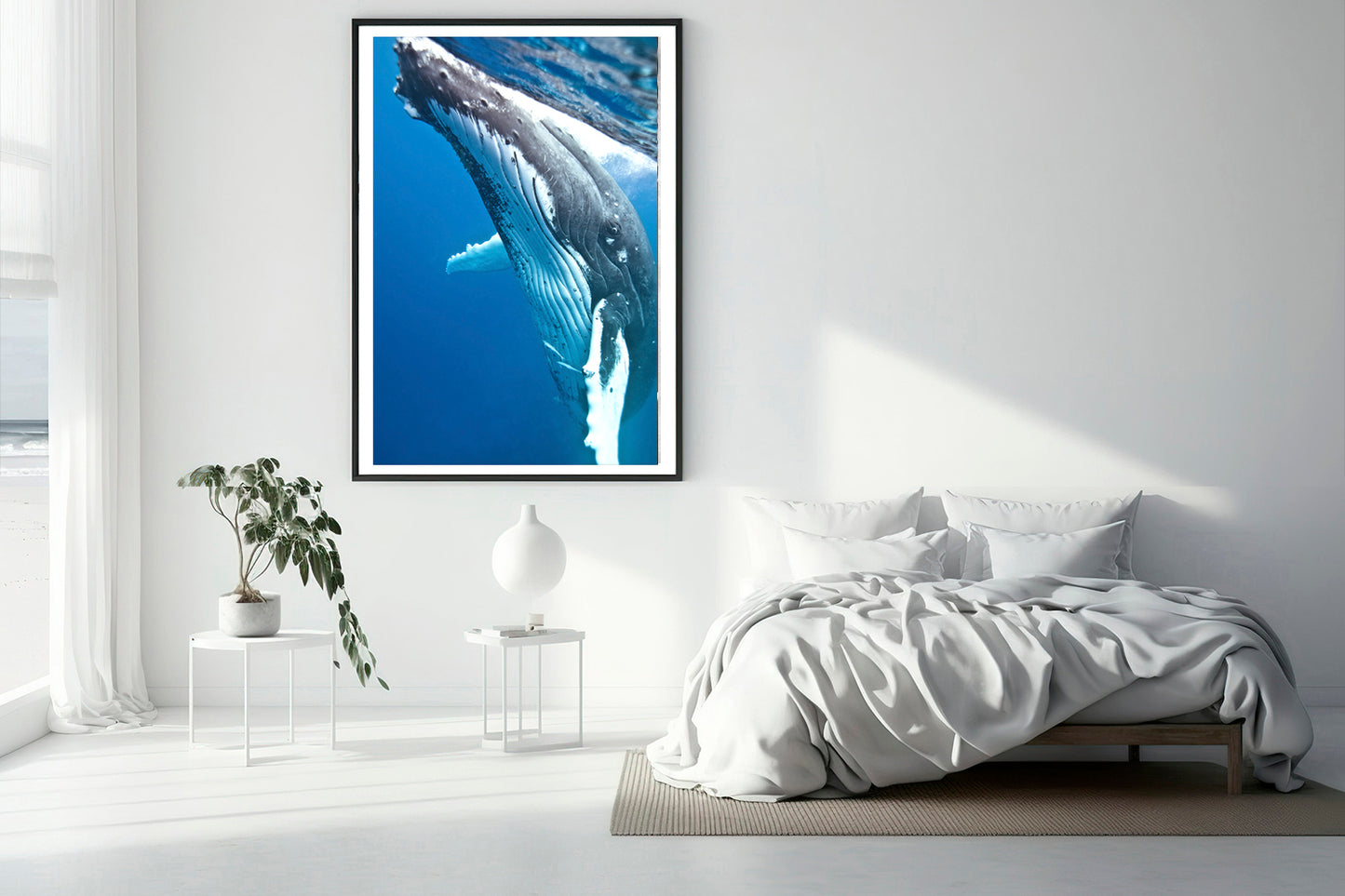 Mama whale photography bedroom
