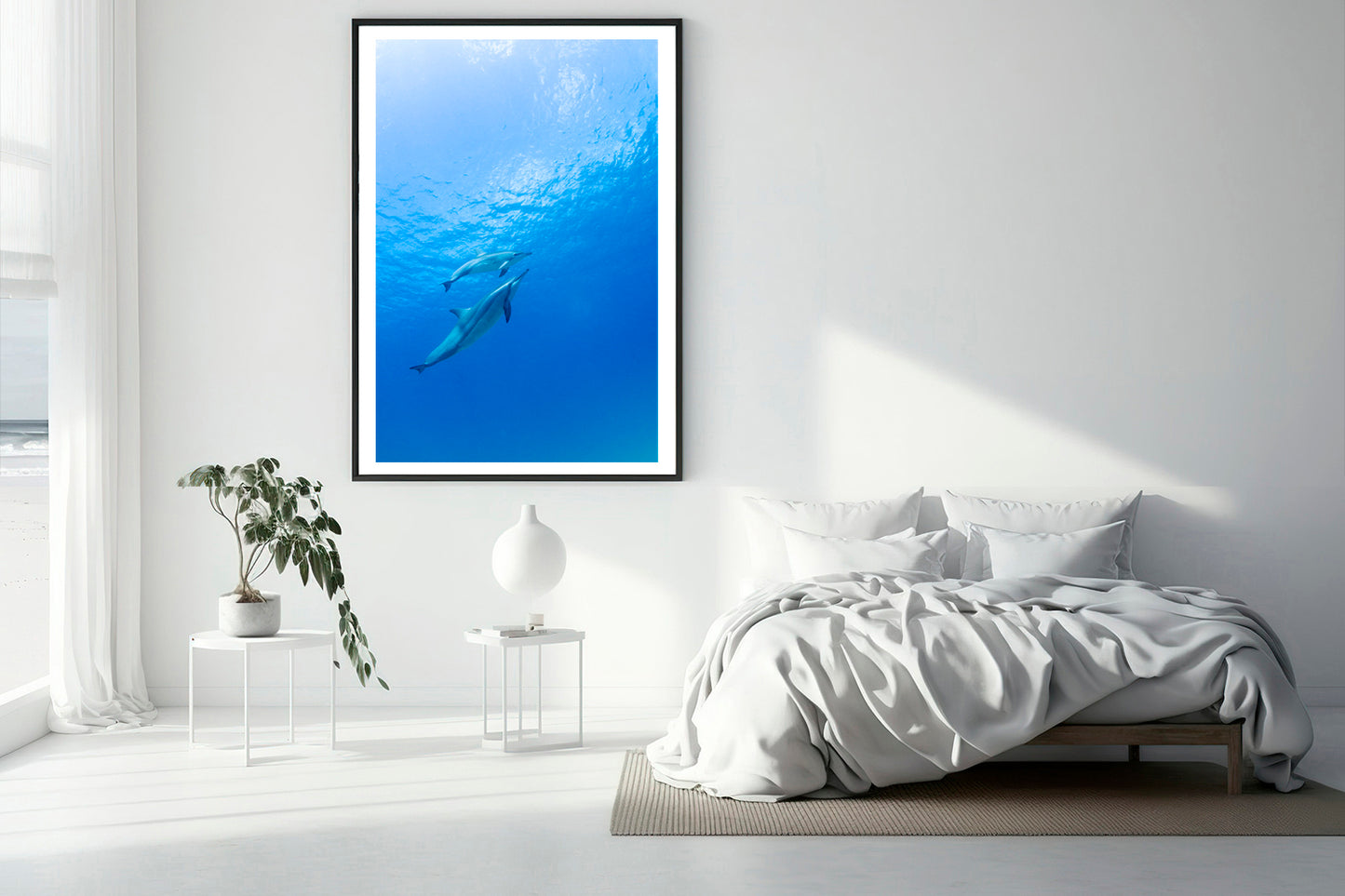Baby dolphin photography bedroom 