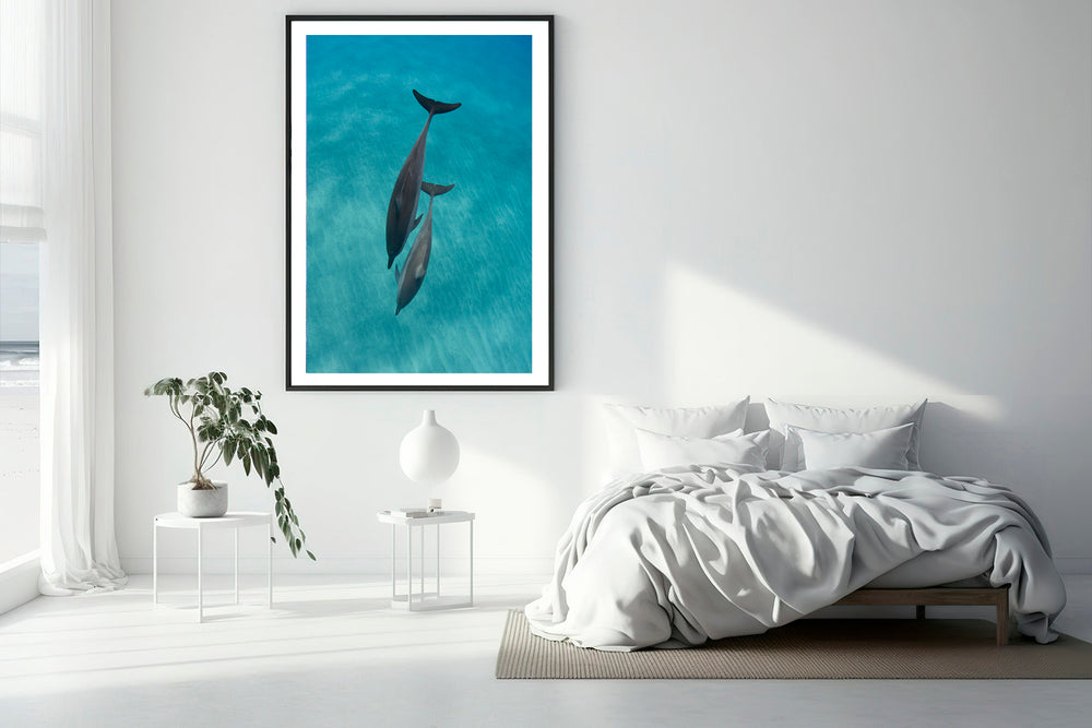 Two Dolphins photography bedroom