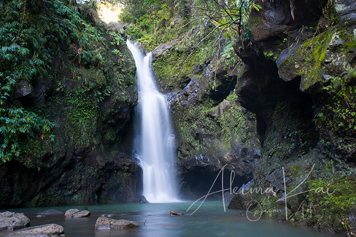 
                  
                    Maui waterfall photography
                  
                