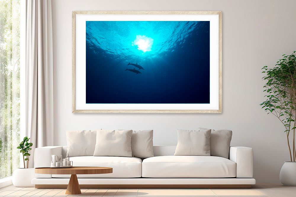 
                  
                    Symphony dolphin photography living room
                  
                
