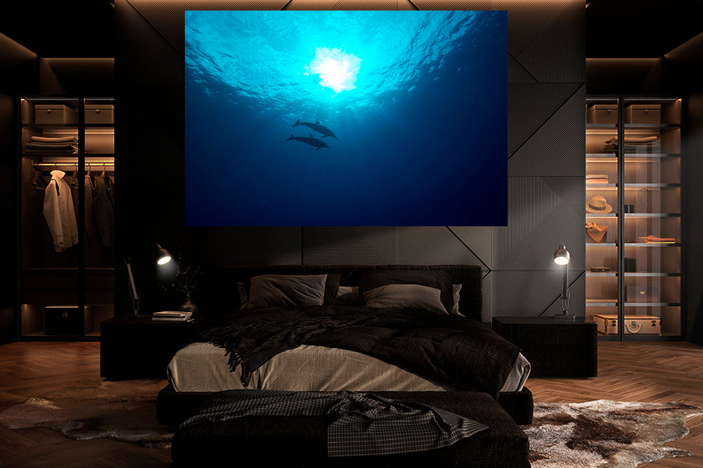 
                  
                    Symphony dolphin photography bedroom
                  
                