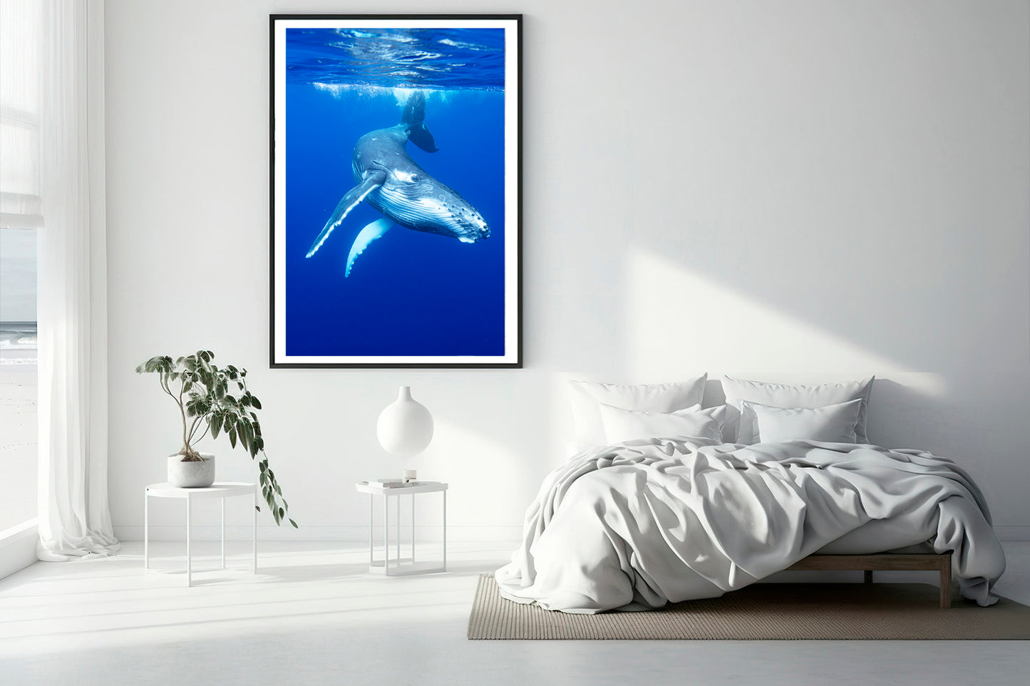 Play baby whale photography bedroom
