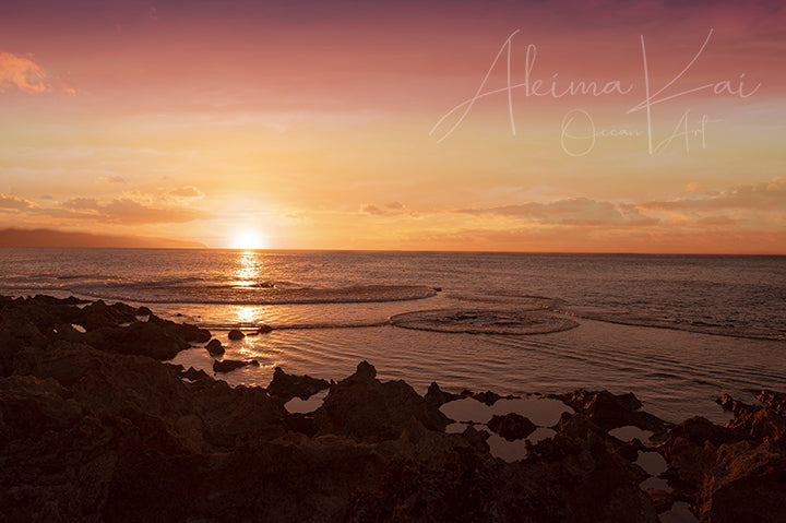 
                  
                    sharks cove sunset print
                  
                