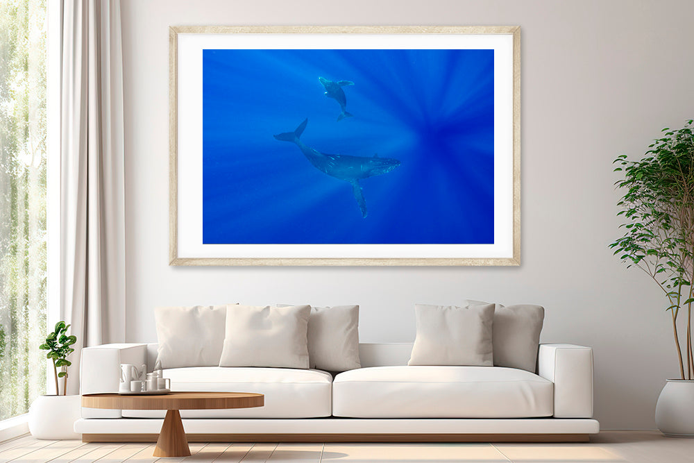 Whale Tales photography living room