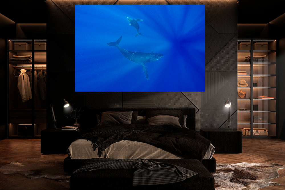
                  
                    Whale Tales photography bedroom
                  
                