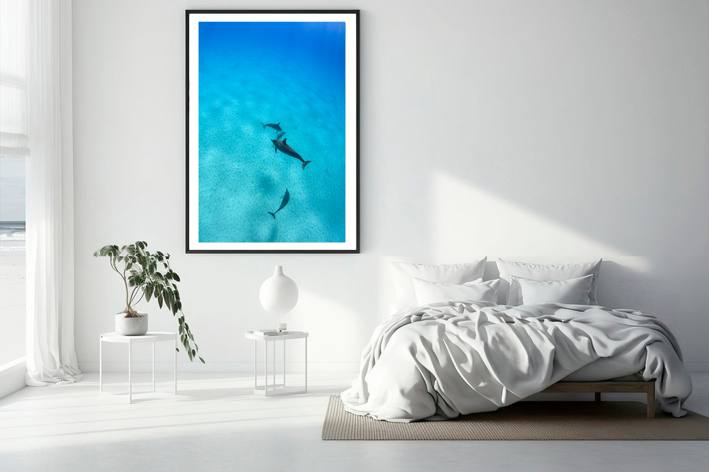 Sky Dolphins photography bedroom