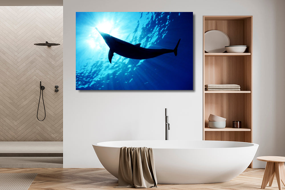 
                  
                    Dream dolphin photography bathroom
                  
                